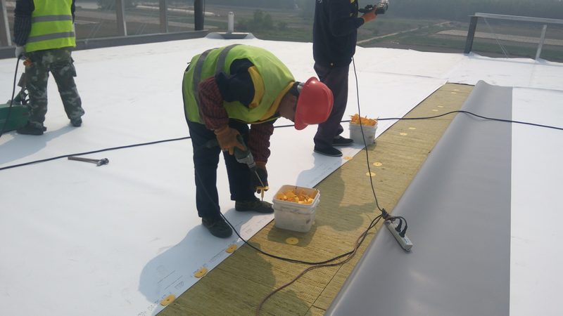 JS防水涂料Ⅰ型与Ⅱ型：揭秘两者差异与应用场景